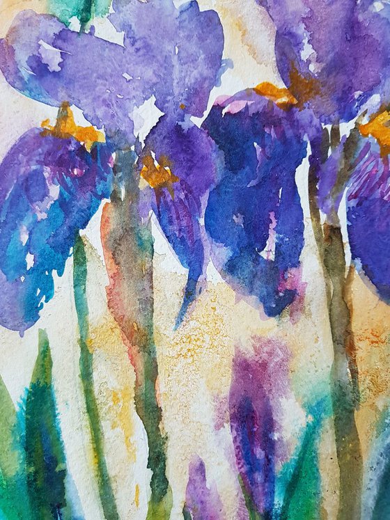 IRISES