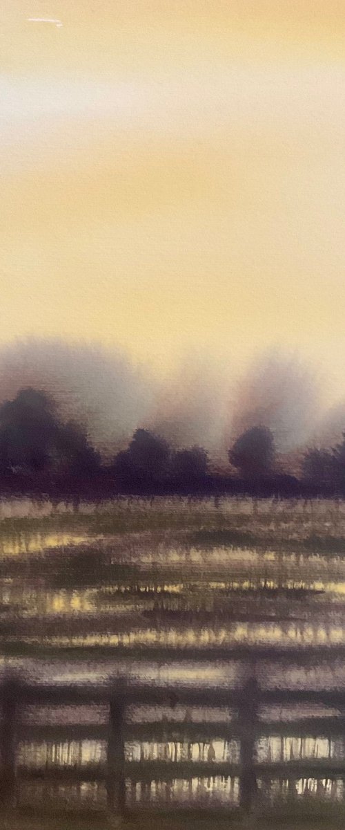 Changing landscape by Samantha Adams