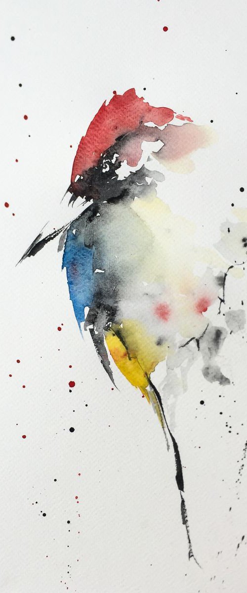 The lonely Woodpecker by Victor de Melo