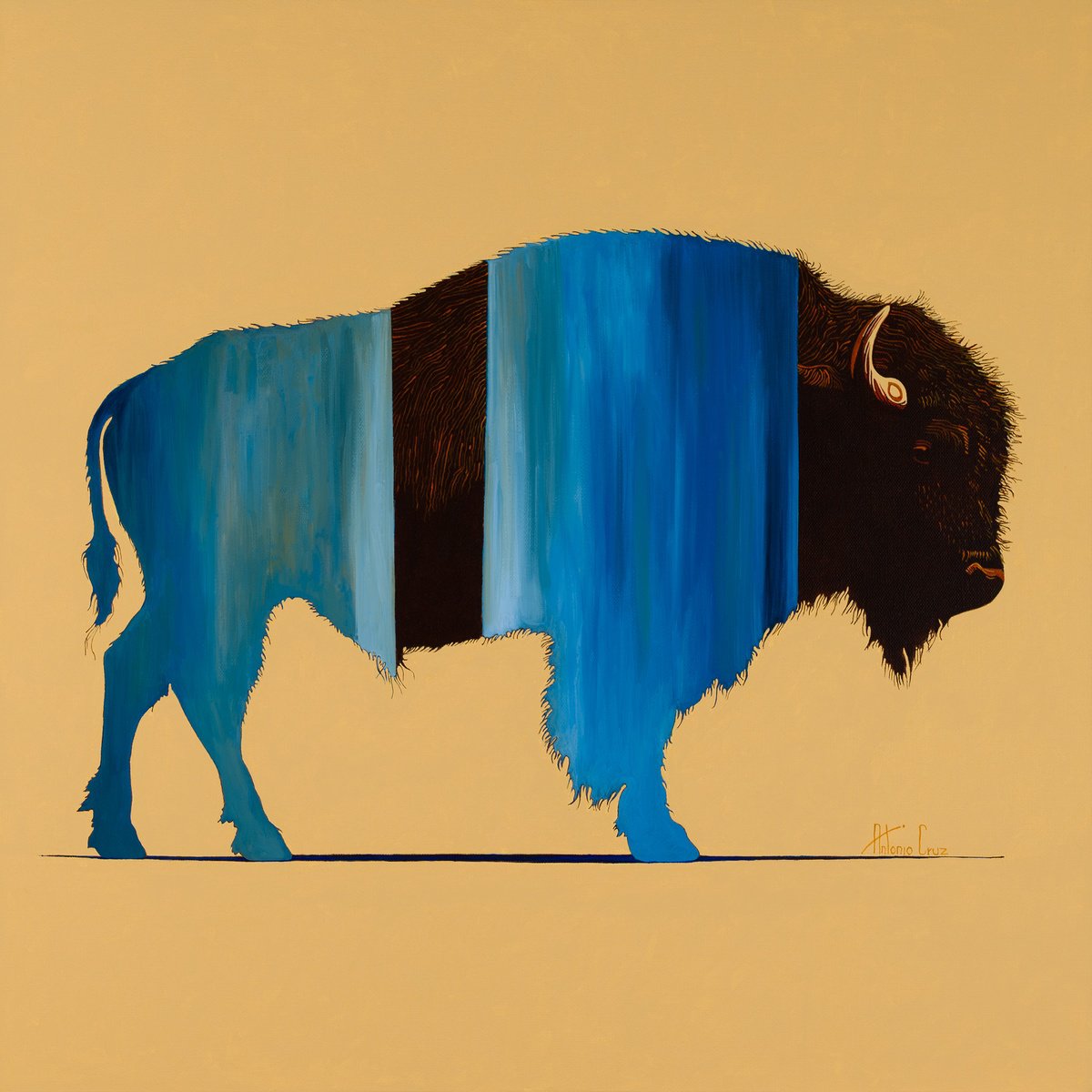 Echo By Antonio Cruz, 24 X 24, Artwork For Sale On Artfinder