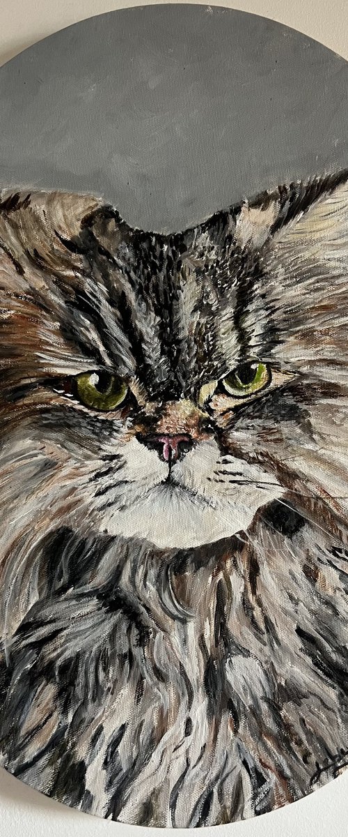 Cat by Isabelle Lucas