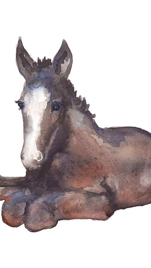 Friendly Filly by Alison Fennell