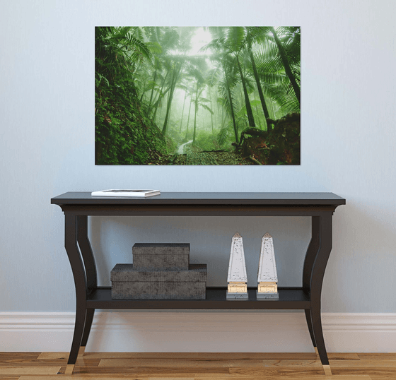 El Yunque Rain Forest