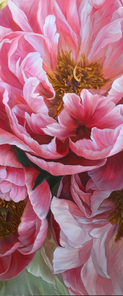 Red and white peonies by Elena