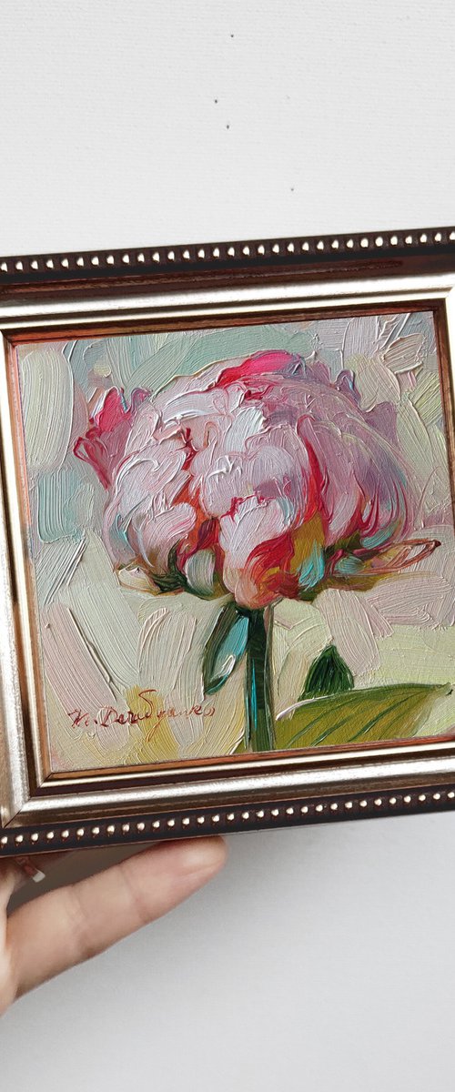 Peony by Nataly Derevyanko