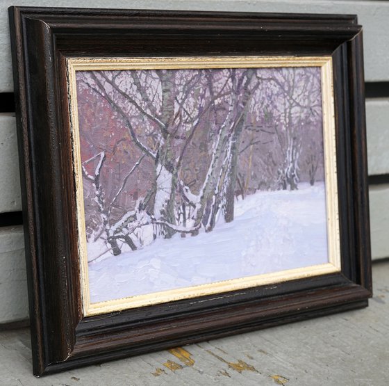 February. Alley in Tsaritsyno Park