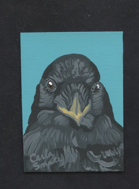 Crow Raven