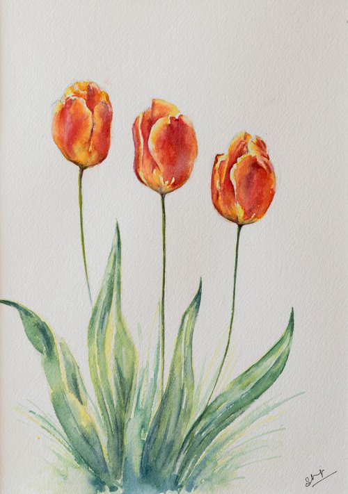 Tulips by Shilpi Sharma