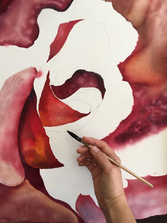 Inside the pink rose - original watercolor flower