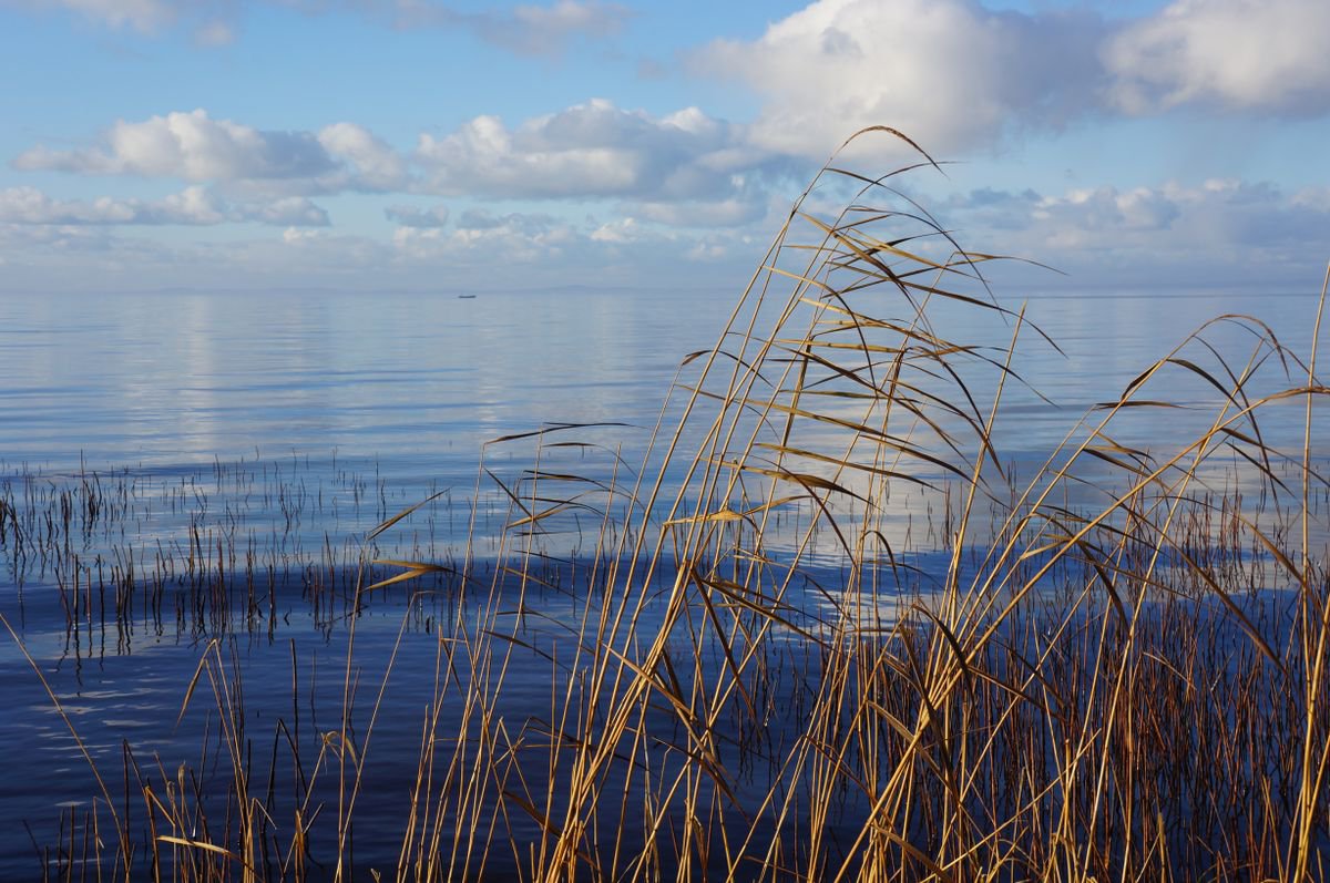 Photography | Curonian Lagoon | Mirrors of Curonian Lagoon III by Egle Selevi