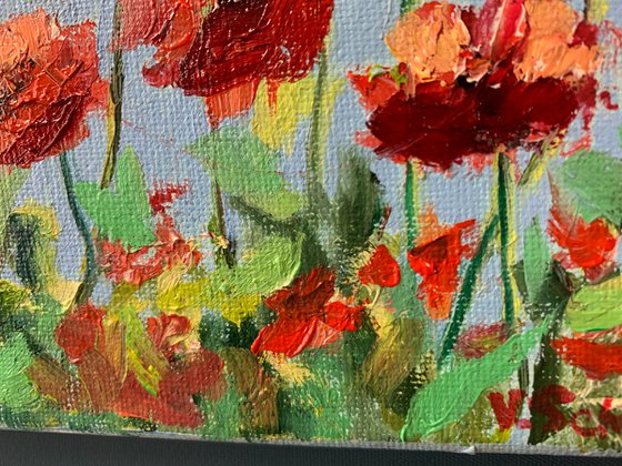 Poppies. Flowers.