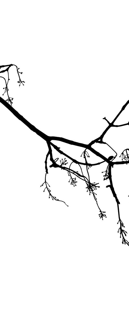 Baum 13 by Dieter Mach