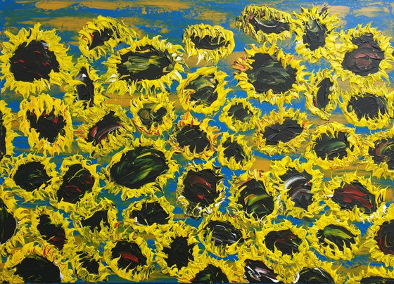 Blooming sunflowers 7