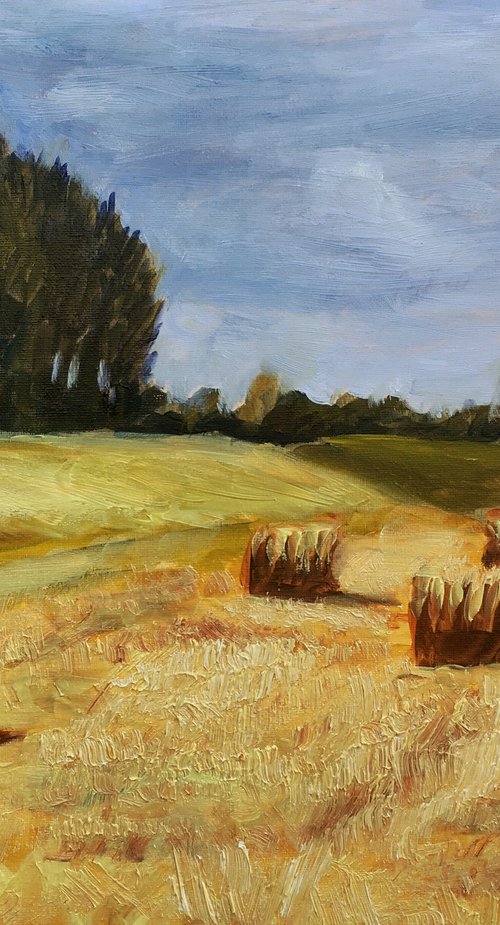 Haystacks in Westland by Elena Sokolova