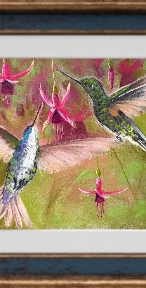 Colibri in flight. Flying by Yuliia Sharapova