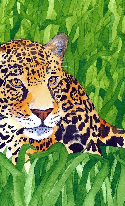 Jungle Cat 5 by Terri Smith