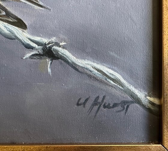 Swallows bird