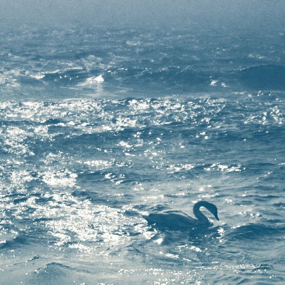 Ocean of solitude.