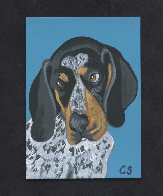 ACEO ATC Original Miniature Painting Blue Tick Coonhound Pet Dog Art-Carla Smale