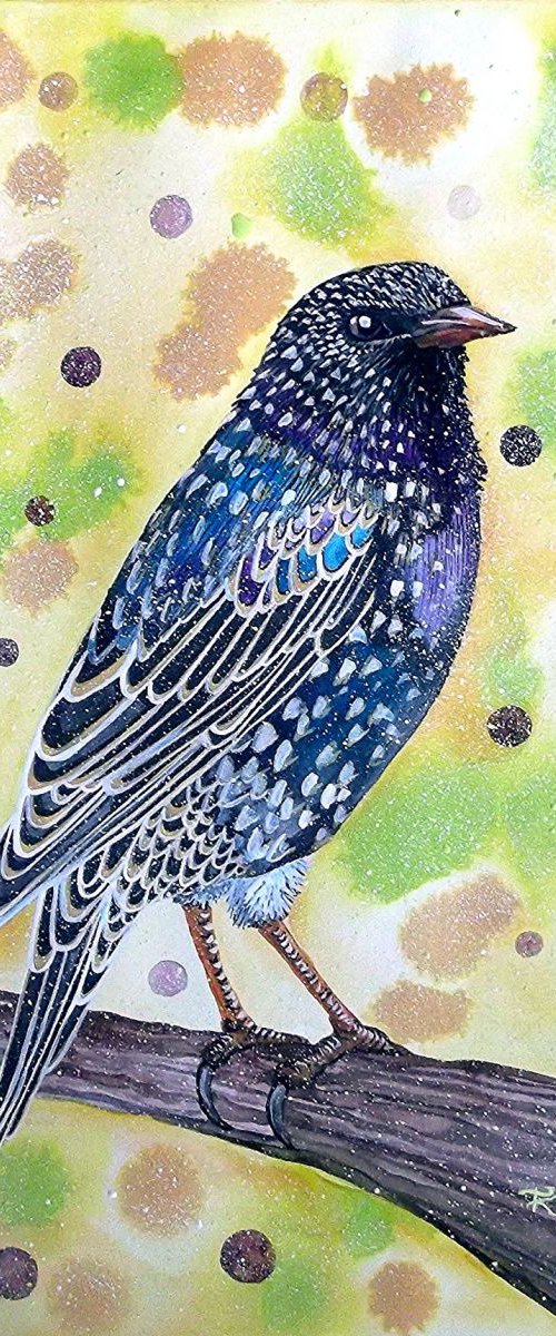 Starling by Terri Smith