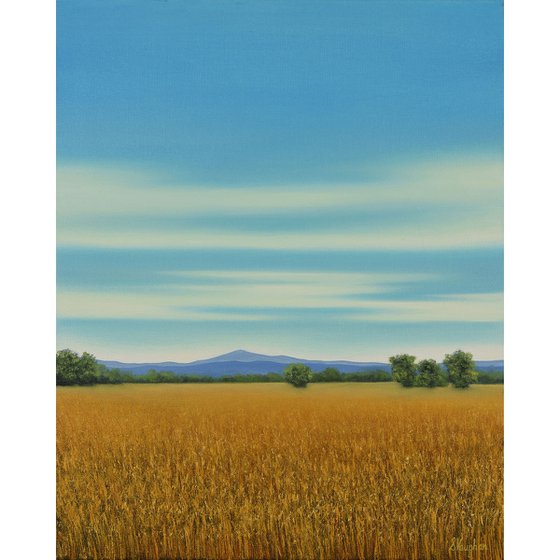 Gold Wheat Field - Blue Sky Landscape