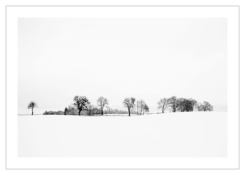 Winterscape with Trees by Beata Podwysocka