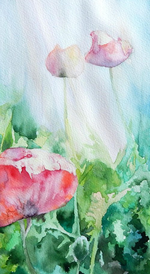 Poppies in the garden watercolour version by Richard Freer