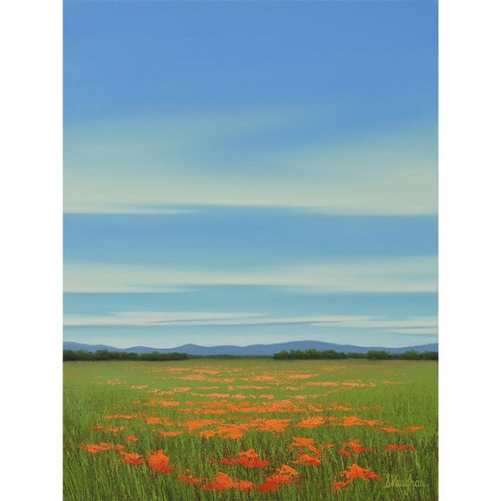 Orange Poppies in Bloom - Colorful Flower Field Landscape