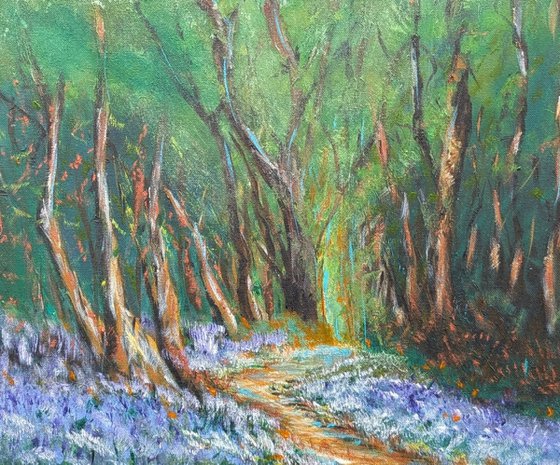 Bluebell Wanderings