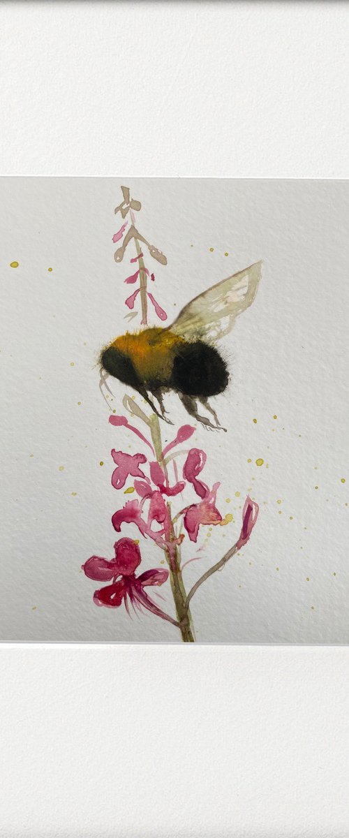 Bee Rosebay Willowherb Flower by Teresa Tanner