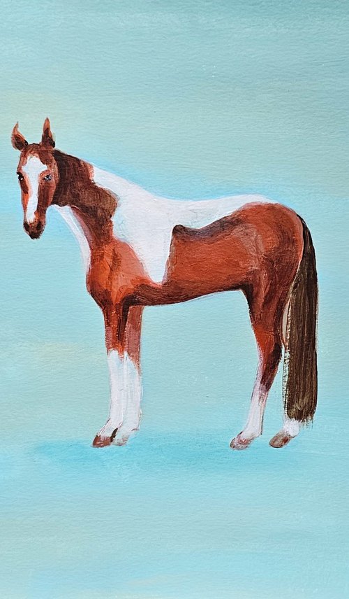 Pinto skewbald horse on blue by Ksenia June