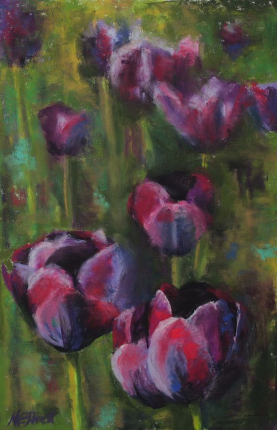 Purple Tulips