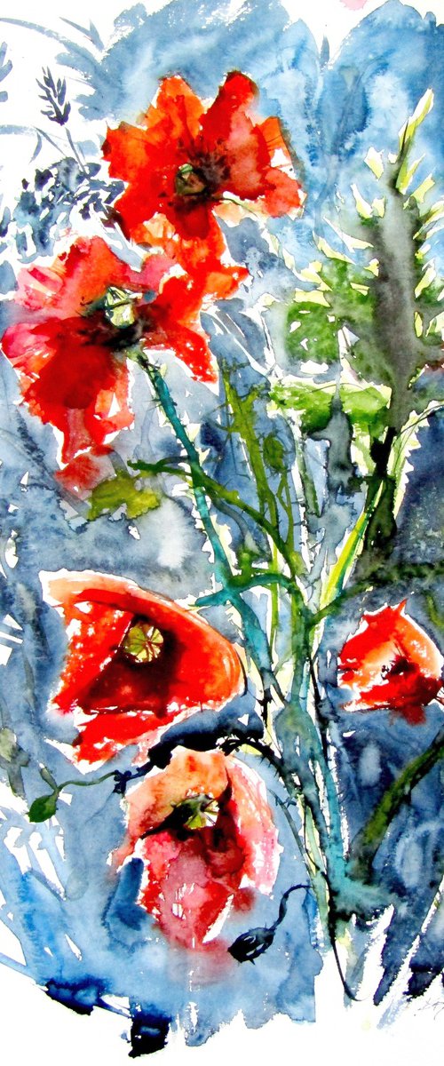 Wild poppies by Kovács Anna Brigitta