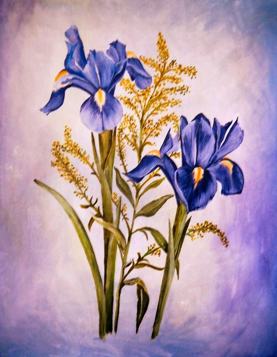 The Purple Irises by Tiffany Budd