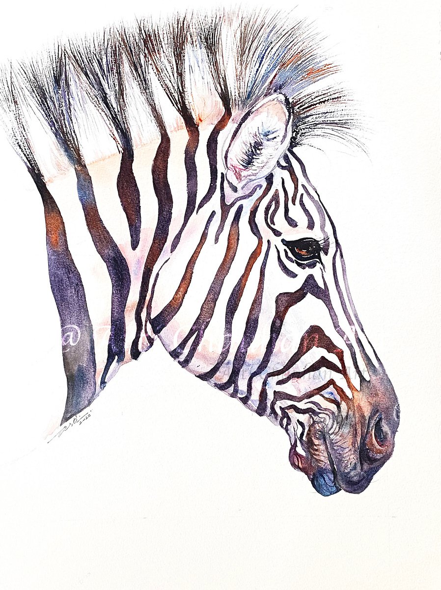 Impressionistic Watercolour , Moon Rock Zebra By Arti Chauhan, 15 X 20, Artwork For Sale On Artfinder