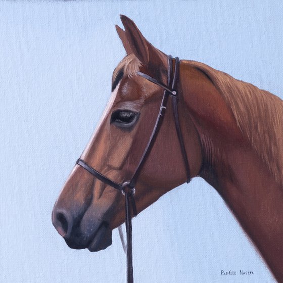 Horse Portrait 36