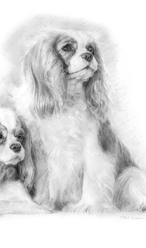 Two Spaniels by Paul Moyse