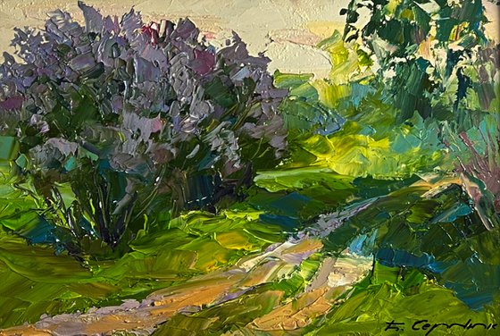 Flowers along the Road