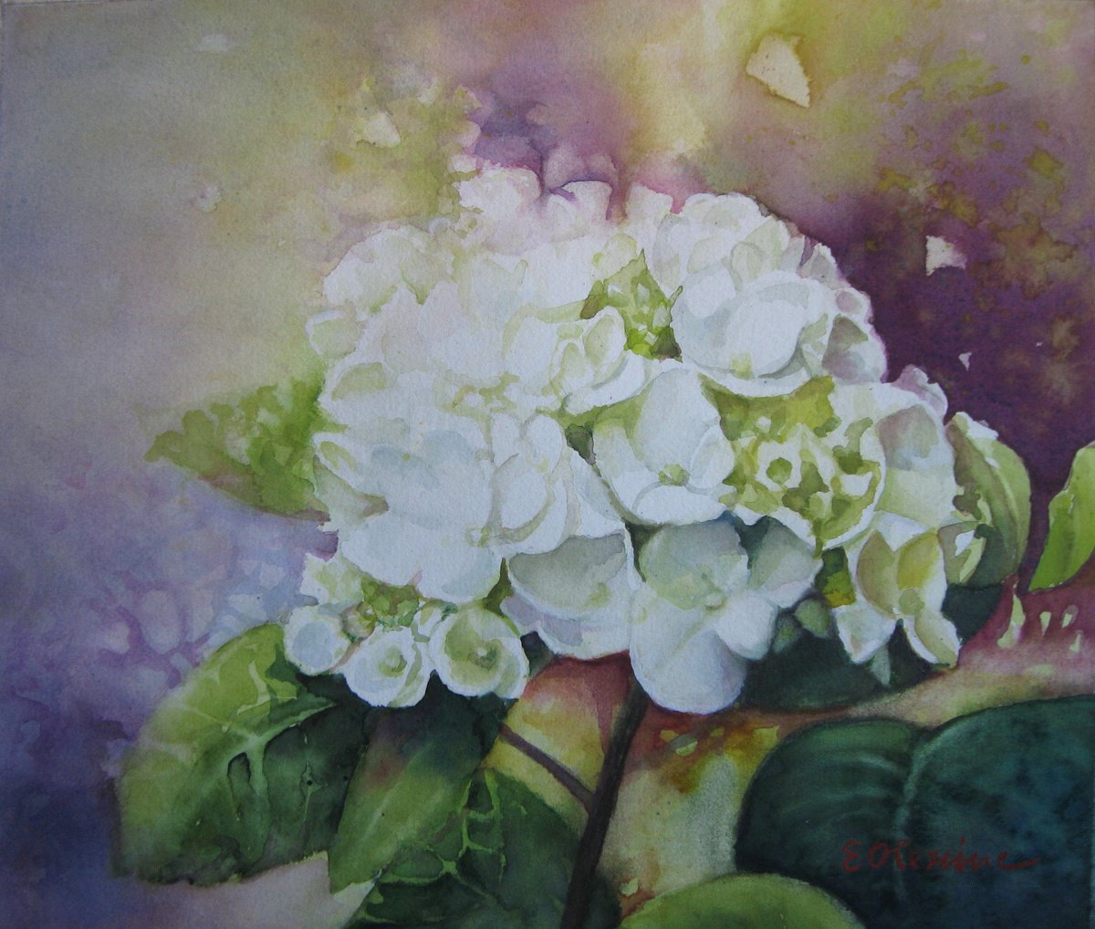 Impressionistic Botanical Watercolour By Elena Oleniuc, 14 X 12, White Flower, Original Artwork