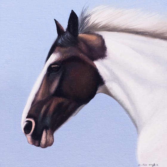 Horse Portrait 24