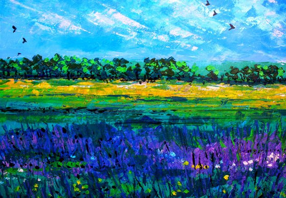 Lavender Fields I