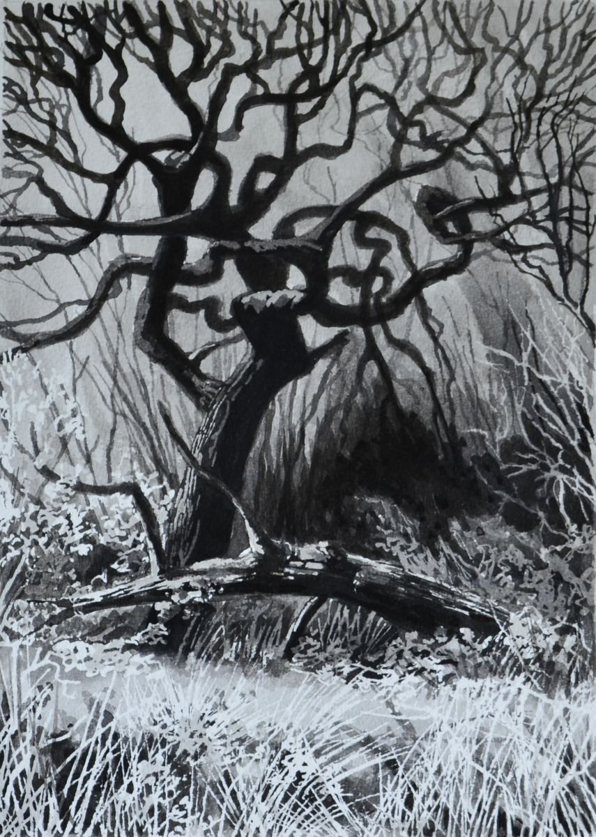 Ink Tree III (2015) Ink drawing by Dawn Harries | Artfinder