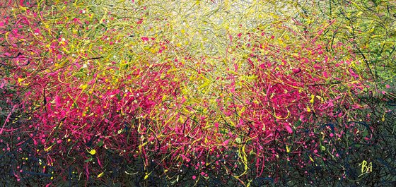 Dreaming Blooms