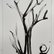 Dry Tree by Mattia Paoli