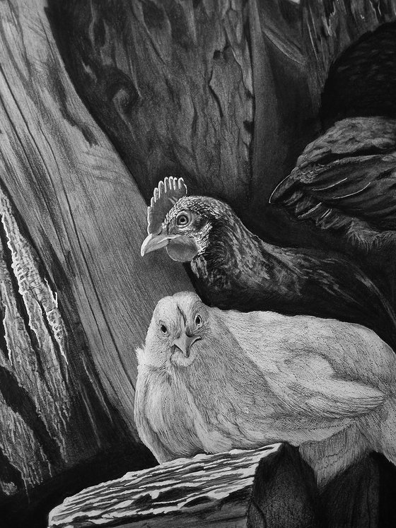 "Young Flock"