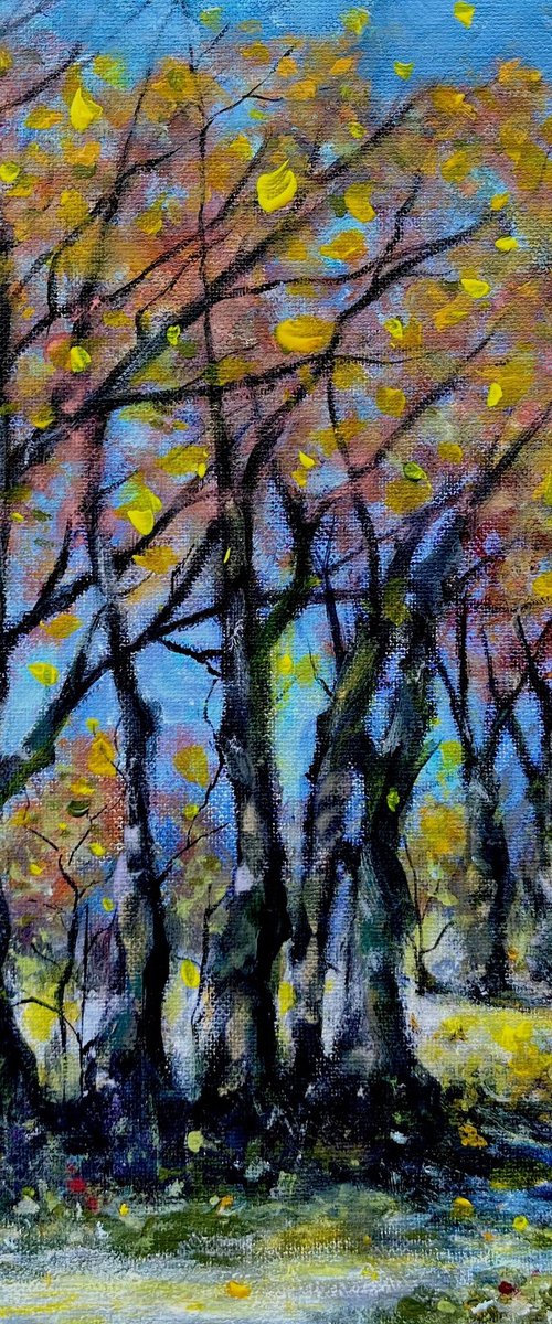 When trees tell stories by Cristina Mihailescu