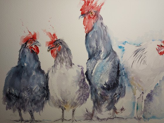 Chicken quartet