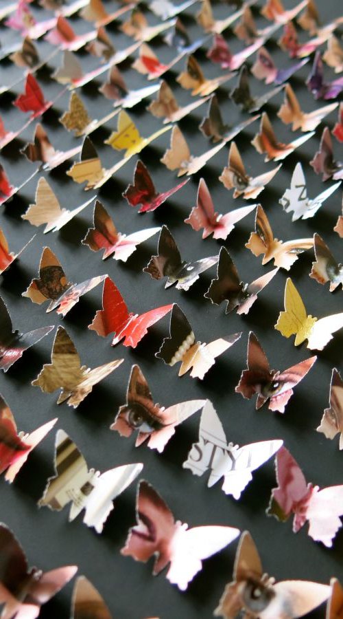 Fashion Butterfly Box by Lorna Doyan