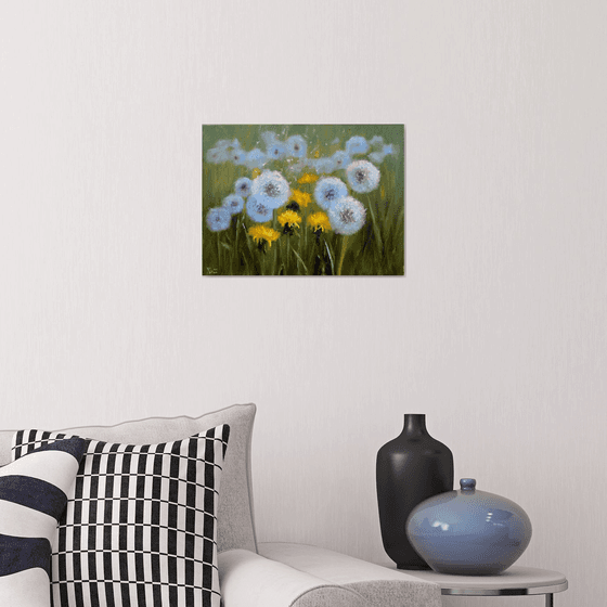 Delicate dandelions
