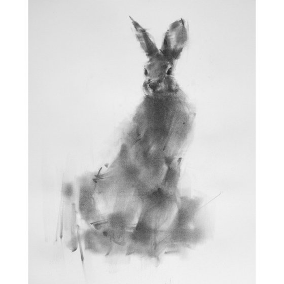 Hare No 4